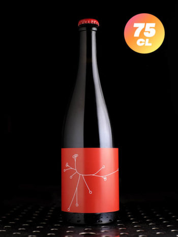 SPO  Stop ou Amphore 004  Saison  5,9% - Quaff Webshop