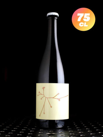 SPO  Rhubarbe & Sureau 2024  Wild  5,3% - Quaff Webshop