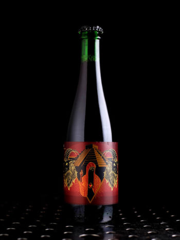 Holy Goat  Holy Mountain (2024)  Wild Cerise Stevnsbær  6,2% - Quaff Webshop